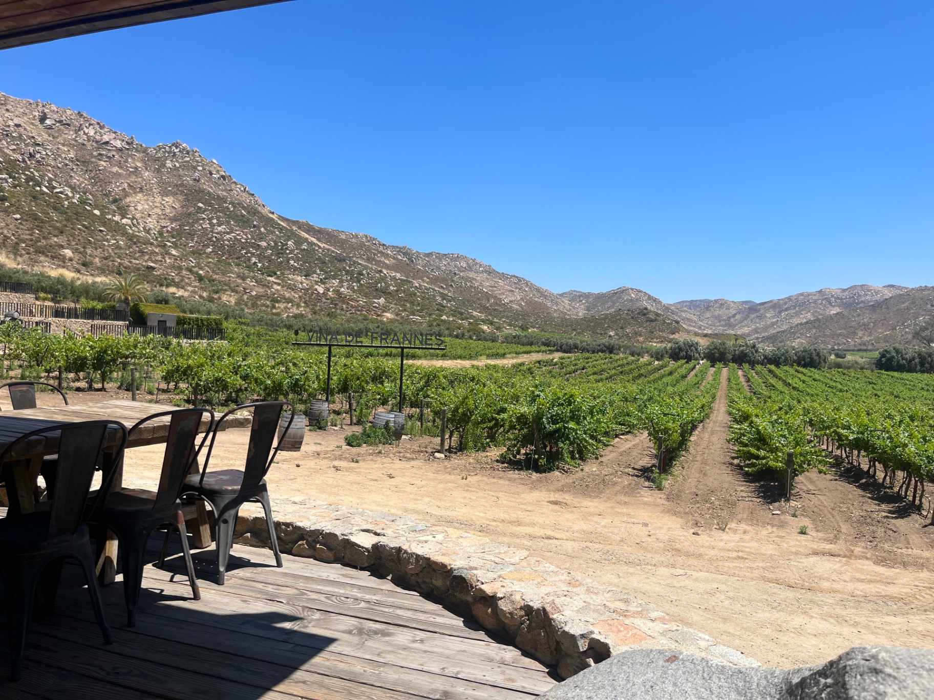 Viña de Frannes vineyards at the foot of the granite mountains of Valle de Guadalupe.