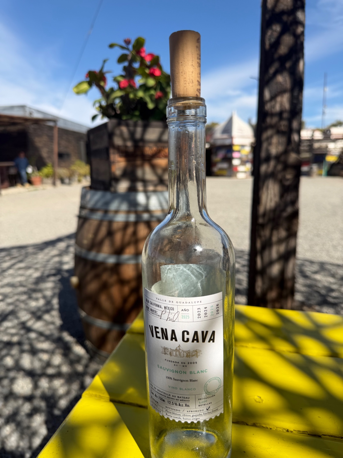 Vena Cava Sauvignon Blanc bottle in midday light.