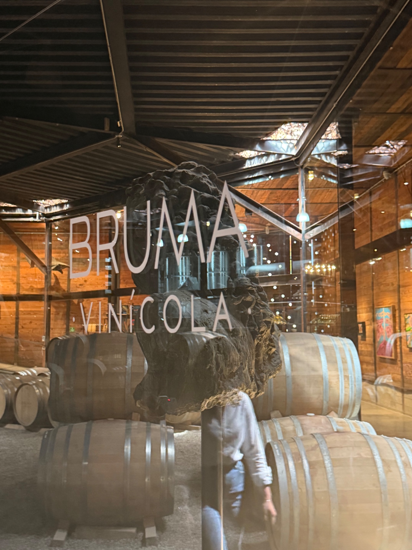 Bruma Vinícola cellar window with barrels and warm timber.
