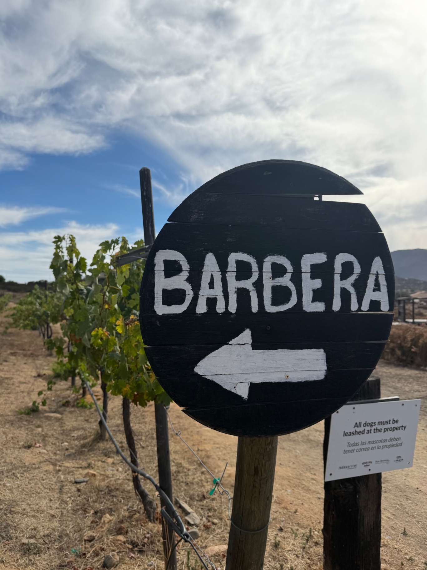 Hand-painted vineyard sign pointing to the Barbera block.