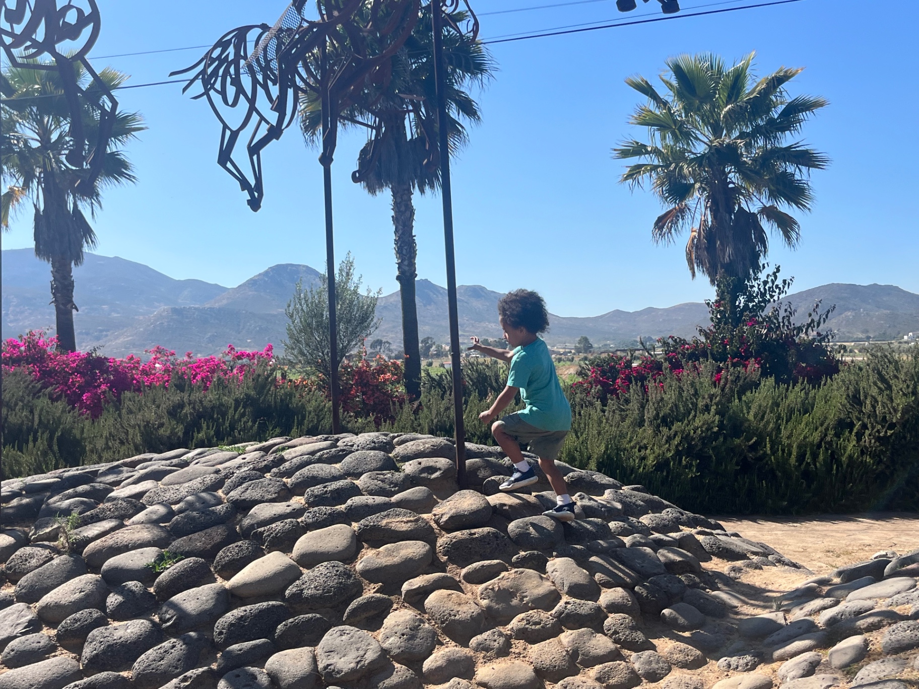 Child climbing stones under palms near Adobe Guadalupe.